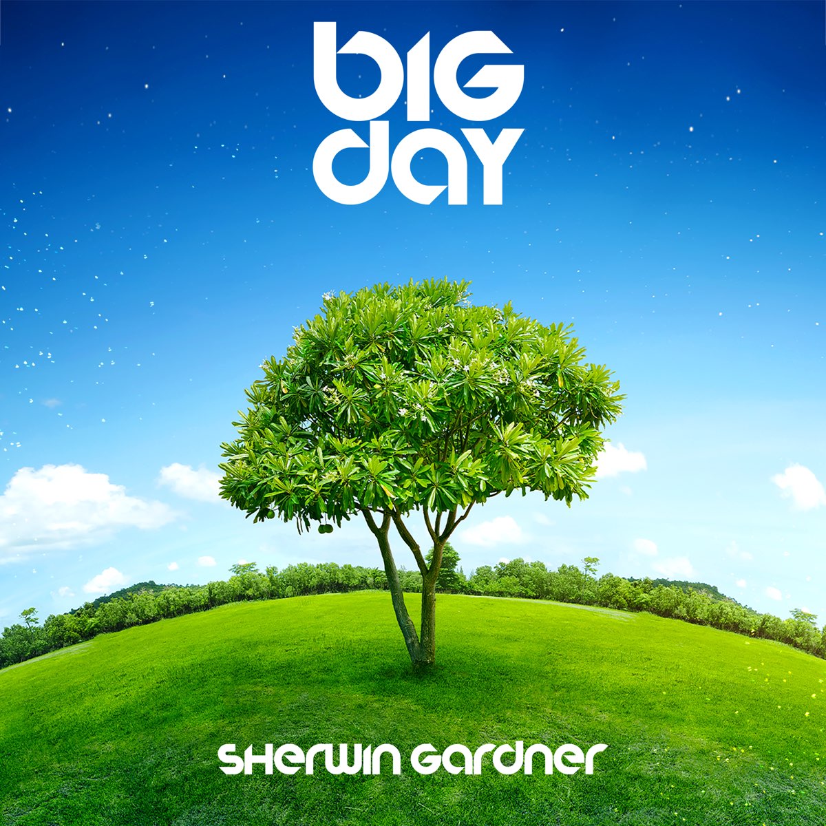 Big Day